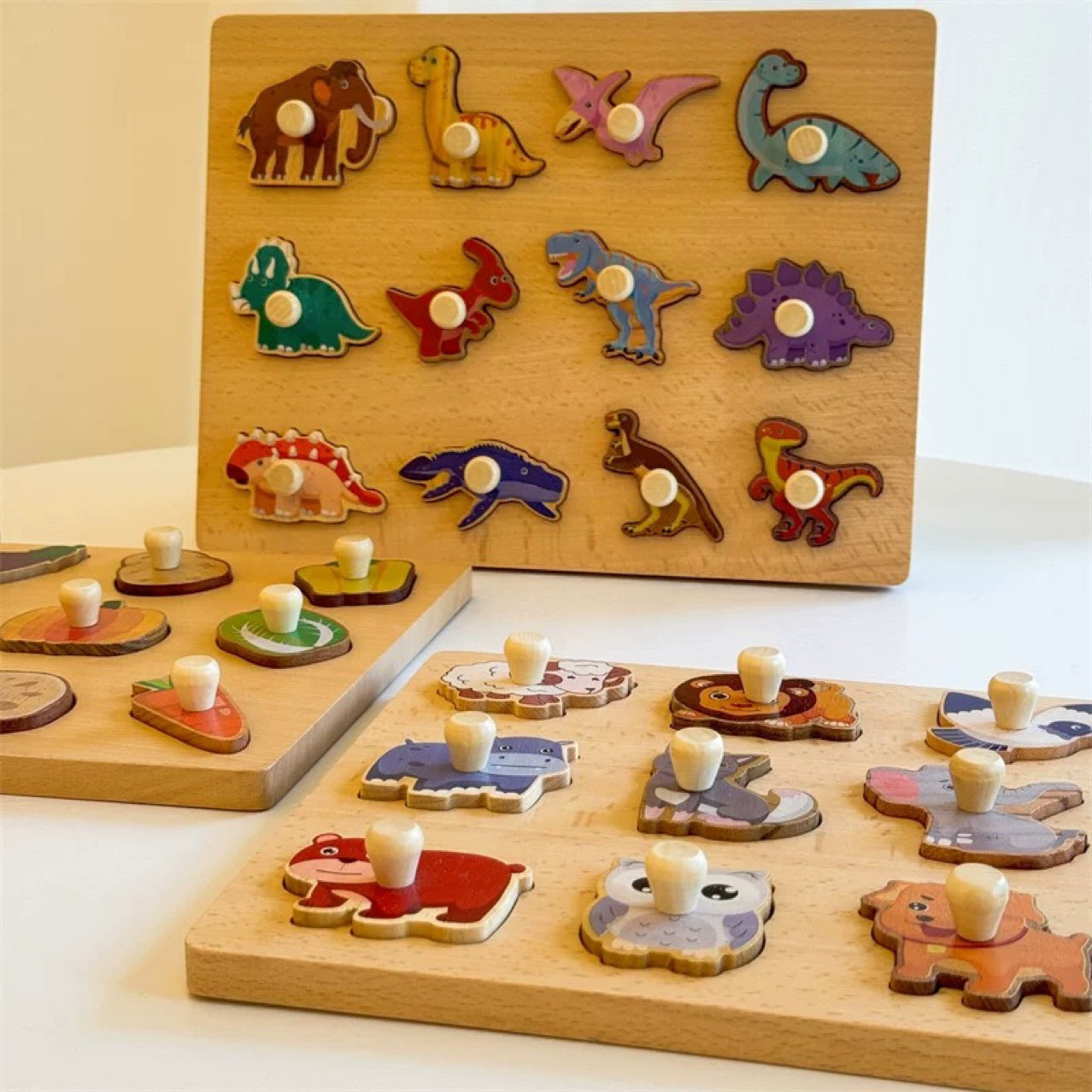 Montessori Wooden Shape Puzzle Toy