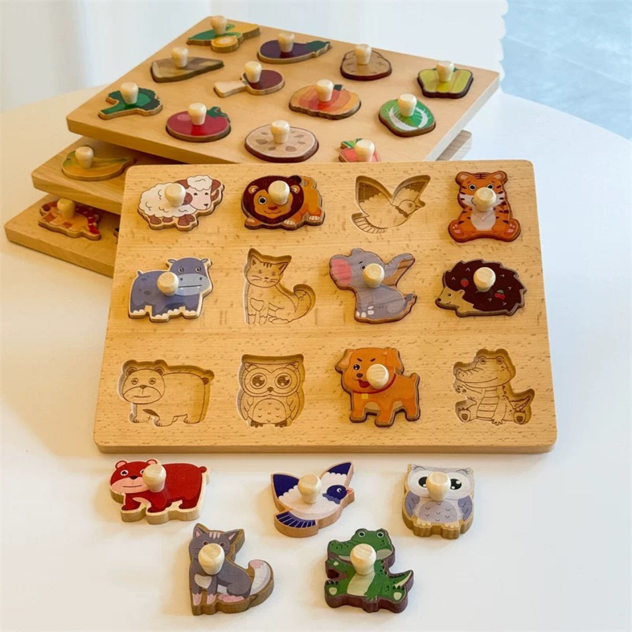 Montessori Wooden Shape Puzzle Toy