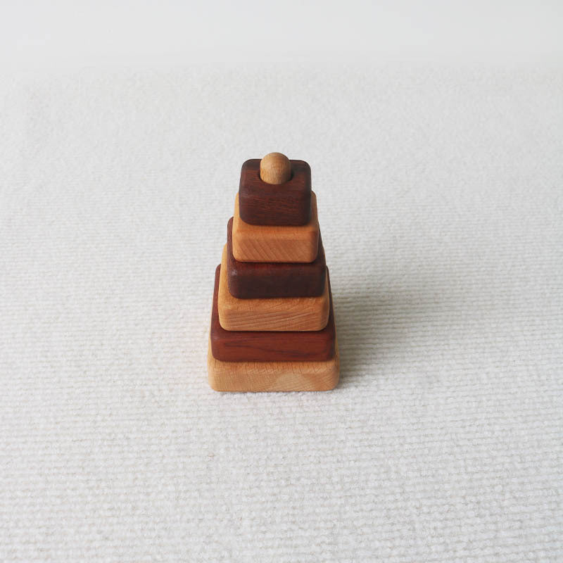 Montessori Wooden Shape Puzzle Toy
