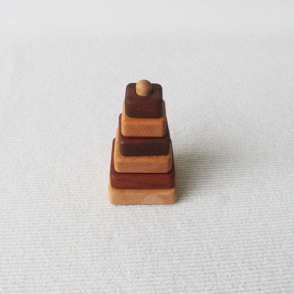 Montessori Wooden Shape Puzzle Toy