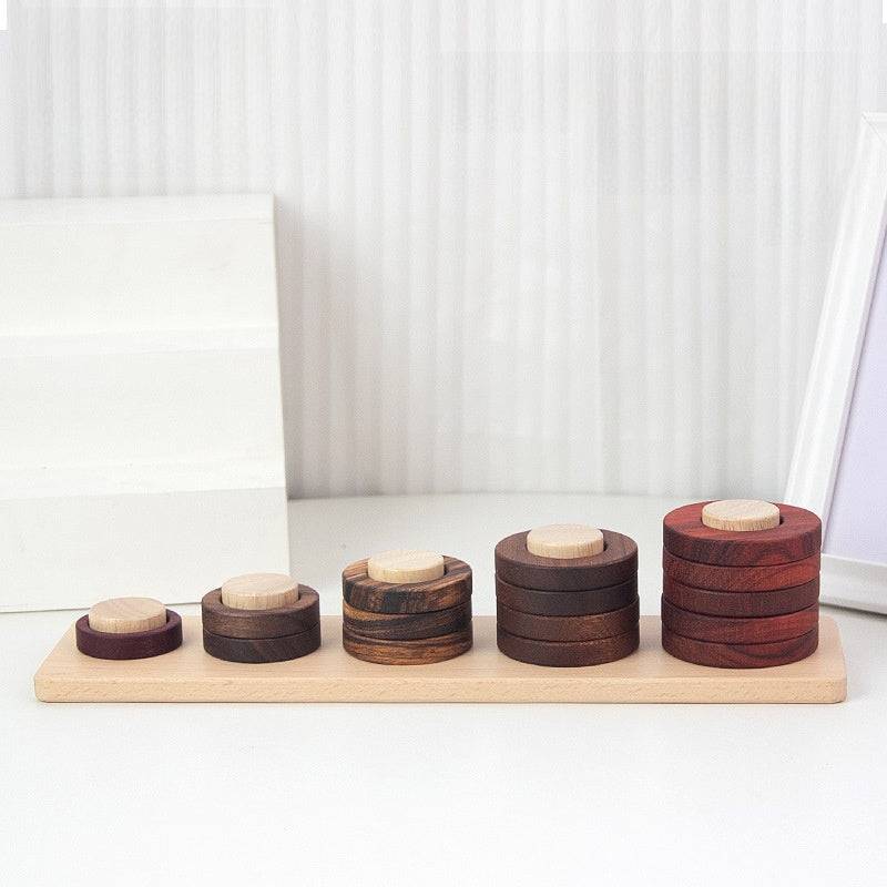 Montessori Wooden Shape Puzzle Toy