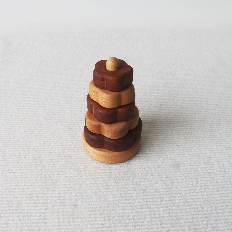 Montessori Wooden Shape Puzzle Toy