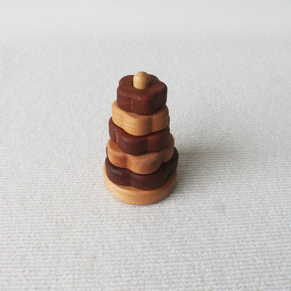 Montessori Wooden Shape Puzzle Toy