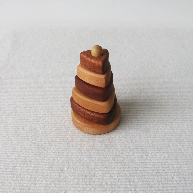 Montessori Wooden Shape Puzzle Toy