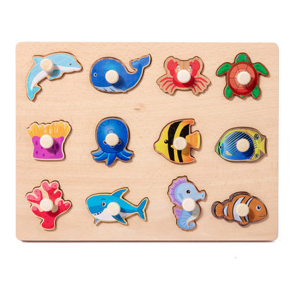 Montessori Wooden Shape Puzzle Toy